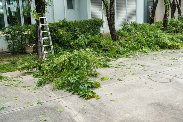 Best Palm Tree Trimming  in Leeds, AL